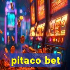 pitaco bet