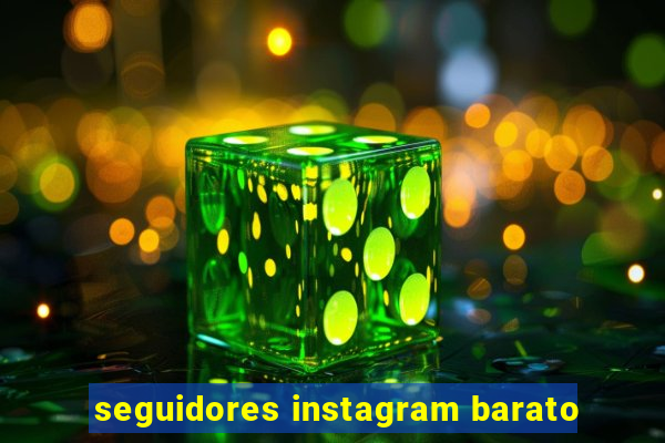 seguidores instagram barato