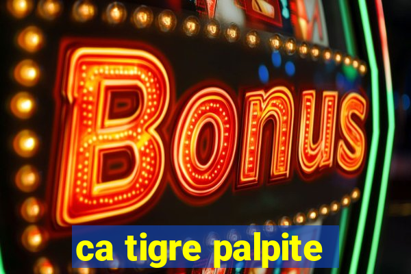 ca tigre palpite