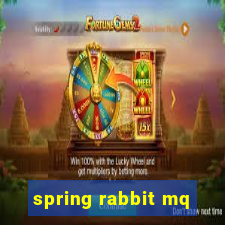 spring rabbit mq