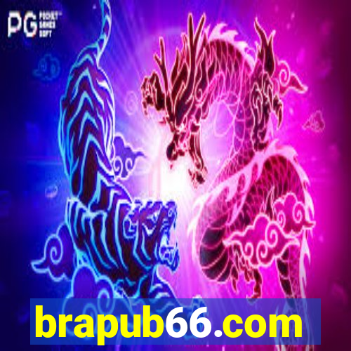 brapub66.com