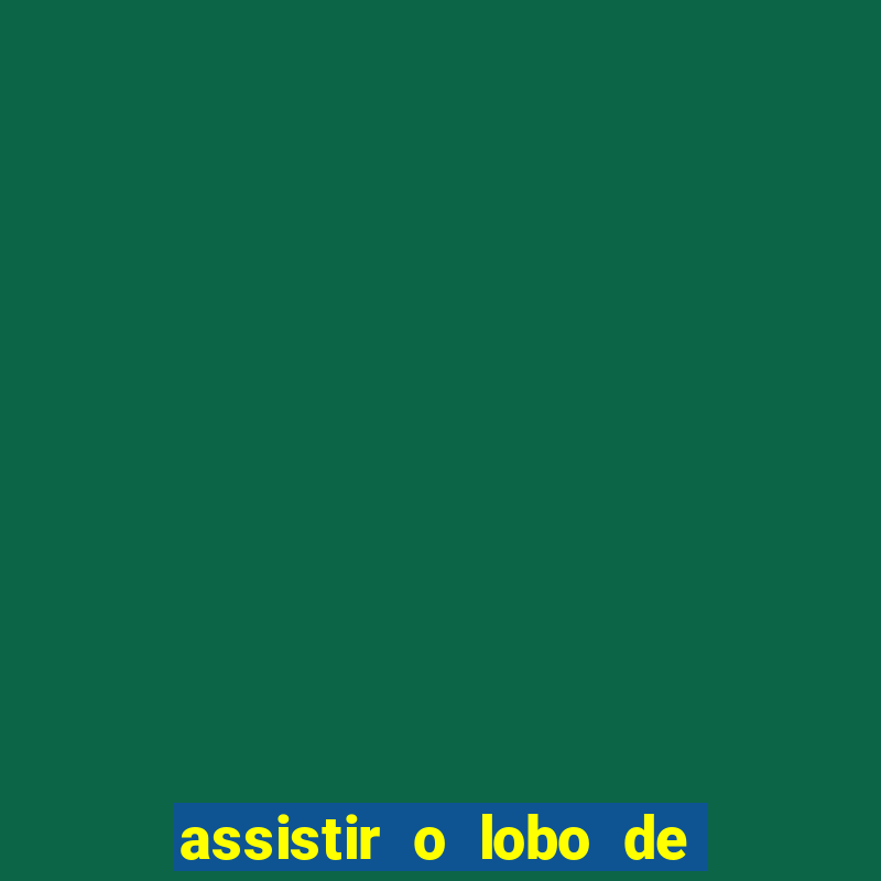 assistir o lobo de wall street grátis