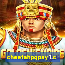 cheetahpgpay1.com