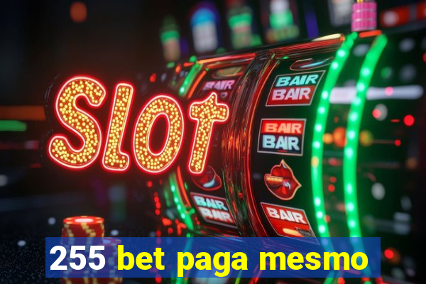 255 bet paga mesmo