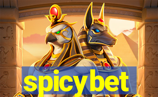 spicybet-4.com