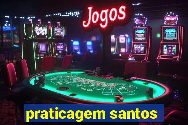 praticagem santos